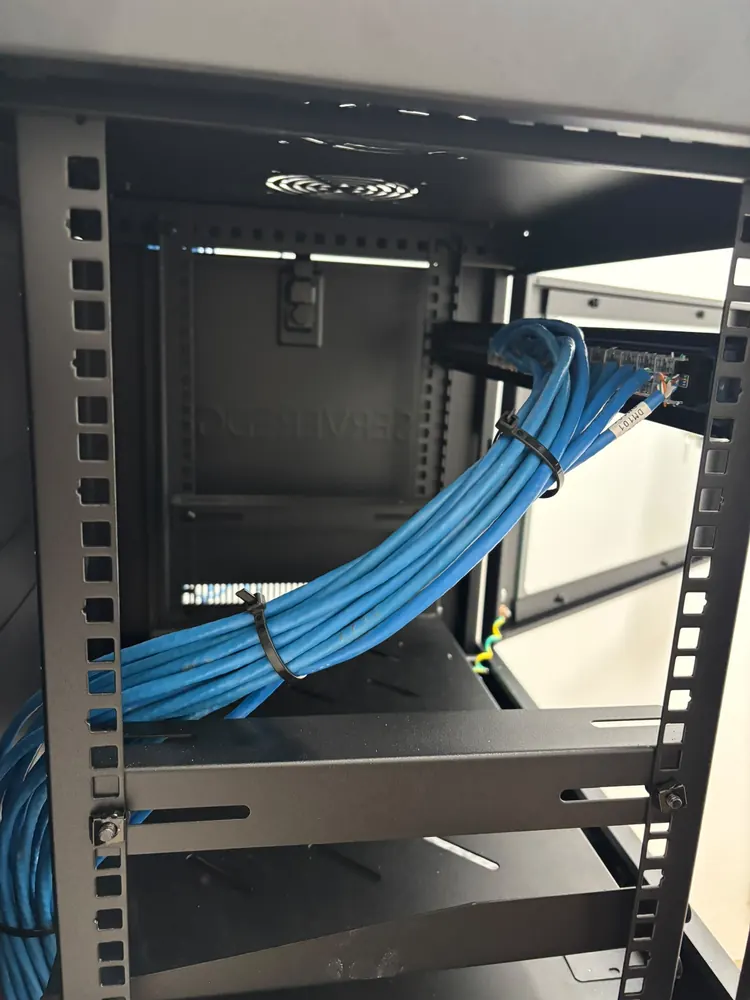 Close-up of blue Cat6 cables bundled with cable ties running into the patch panel inside the cabinet